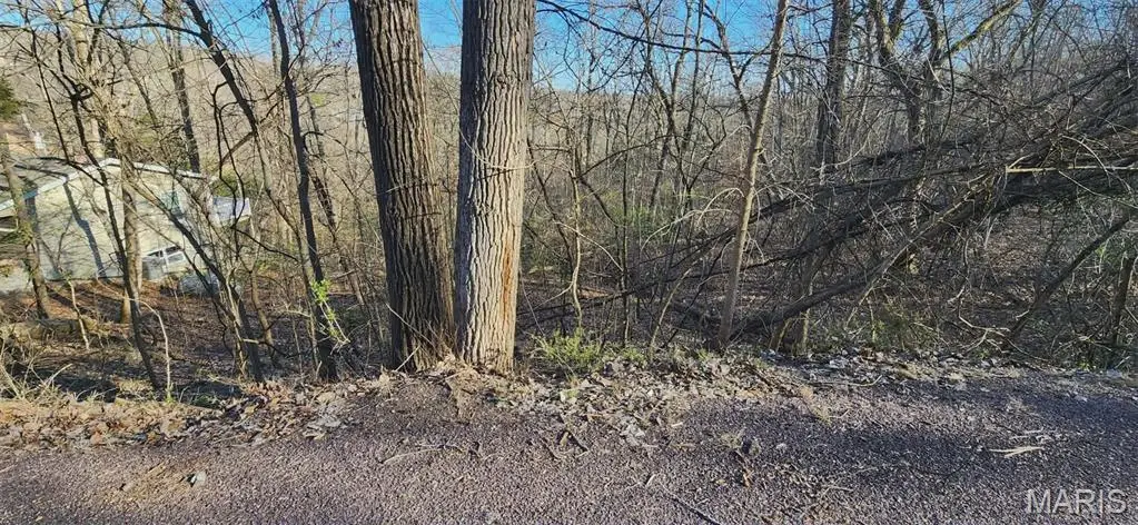 633 Sir Richard Drive, Marthasville, MO 63357 - #1