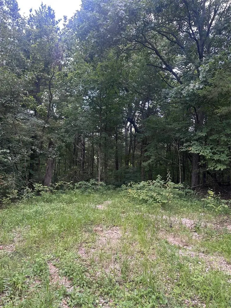 515 Lake Cove Trail, De Soto, MO 63020 - #2