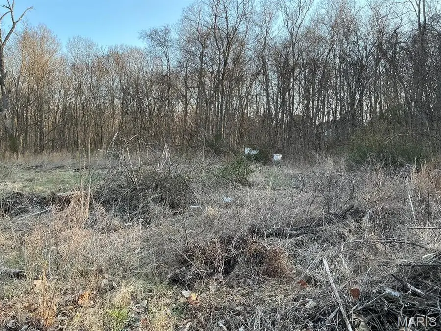 10801 Blackberry, Cadet, MO 63630 - #3