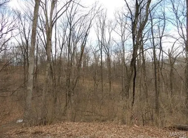 1001 Chesterfield Forest Drive, Wildwood, MO 63005