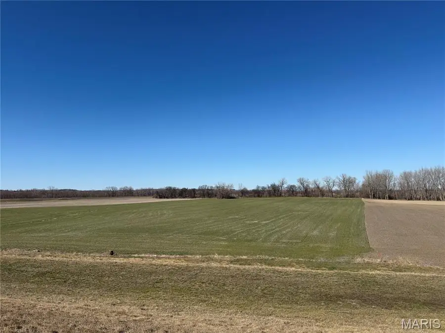000 Levee Rd, Valmeyer, IL 62295 - #3