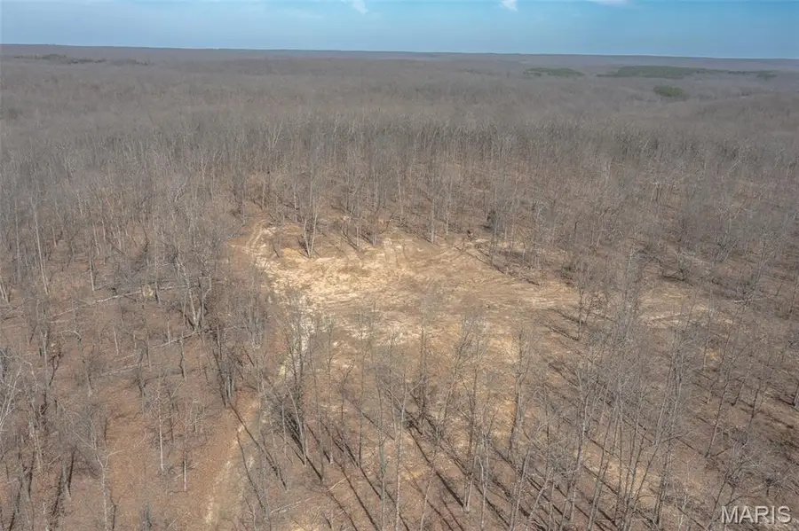 2101 Madison 9236, Fredericktown, MO 63645 - #3