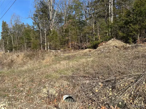 0 Lake Shore Drive, Owensville, MO 65066