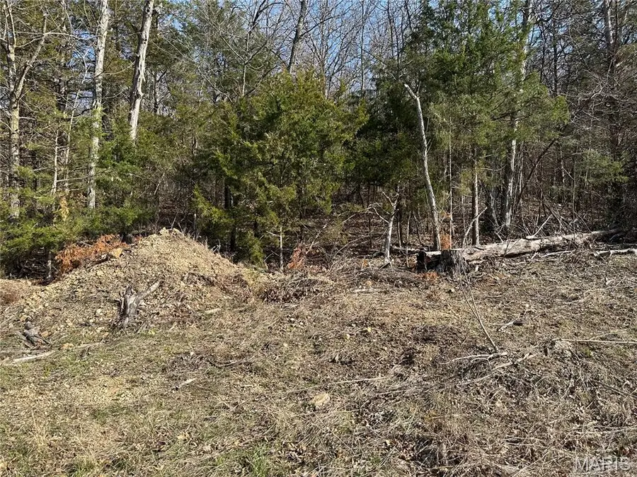 0 Lake Shore Drive, Owensville, MO 65066 - #3