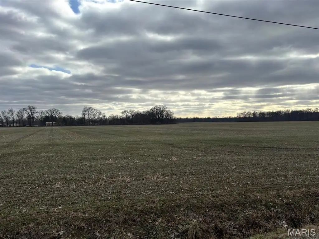 3547 College Road, Salem, IL 62881 - #1