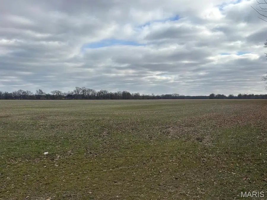 3547 College Road, Salem, IL 62881 - #2