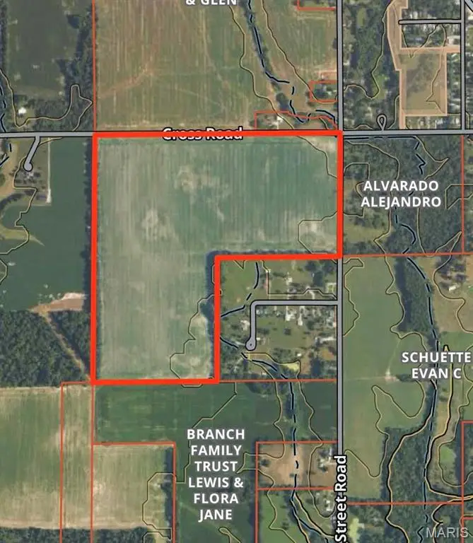 3547 College Road, Salem, IL 62881 - #3