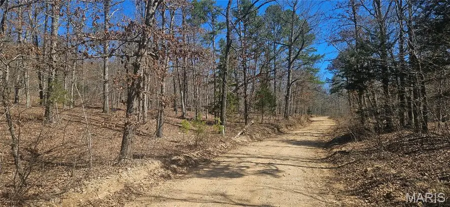 0 County Road 714, Ellington, MO 63638 - #2