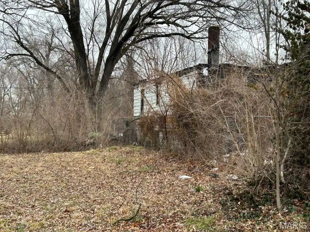 5621 Westmoreland Avenue, Washington Park, IL 62204 - #1