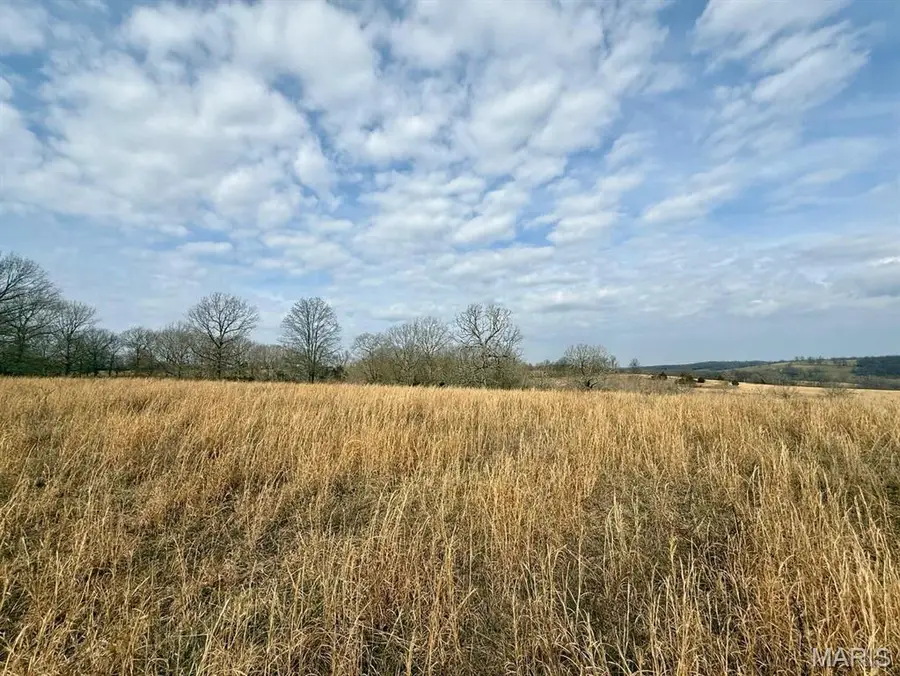 000 Barnum Drive Tract 1, Cabool, MO 65689 - #3