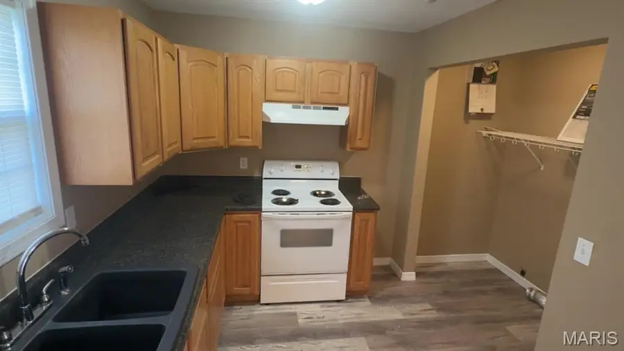 703 Patti Lane, Dexter, MO 63841 - #3