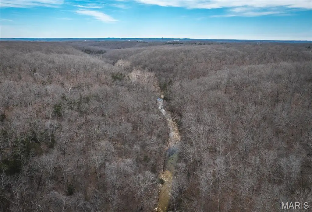 33223 Maries Road 503, Dixon, MO 65459 - #1