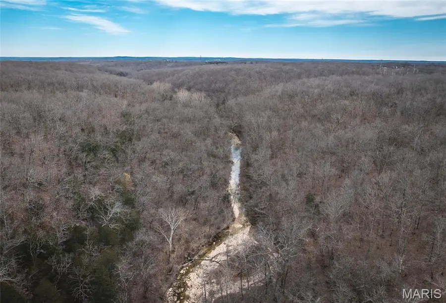 33223 Maries Road 503, Dixon, MO 65459 - #2