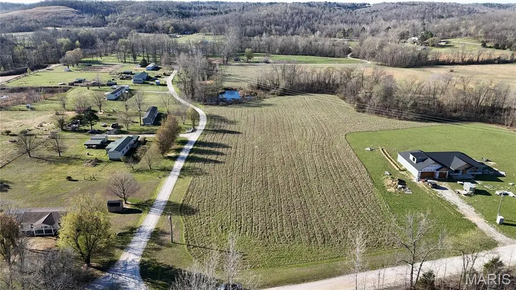 Lot 10 Long Drive, Williamsville, MO 63967 - #1