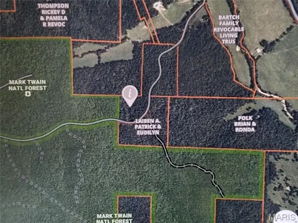 0 Wayne County Road 434, Piedmont, MO 63957