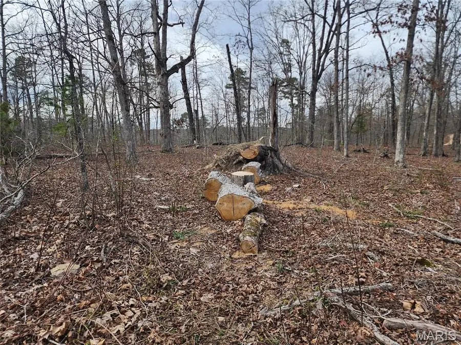 0 Wayne County Road 434, Piedmont, MO 63957 - #3