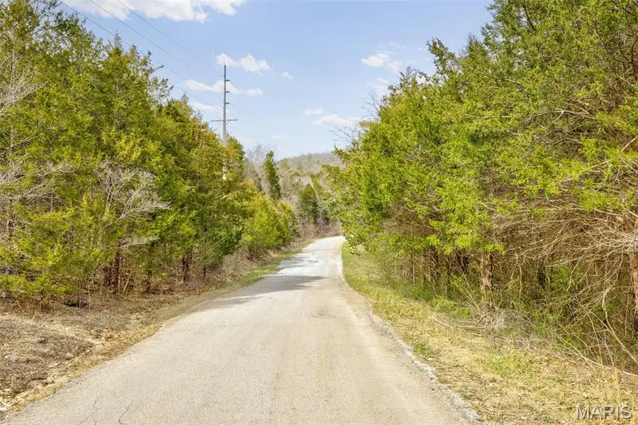 0 N Lafitte Drive, Bonne Terre, MO 63628 - #2