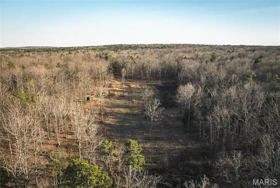 000 Highway Bb, Licking, MO 65542 - #2