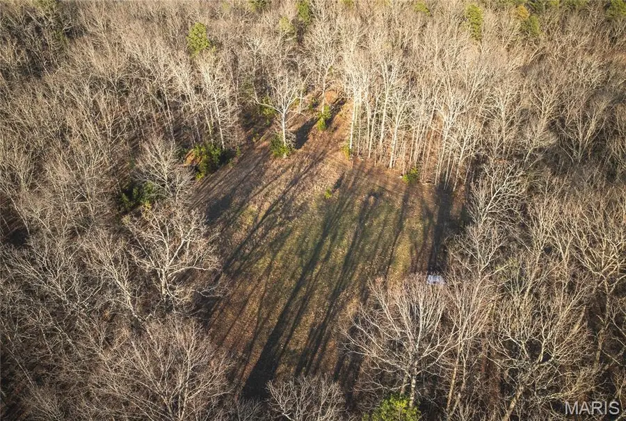 000 Highway Bb, Licking, MO 65542 - #3