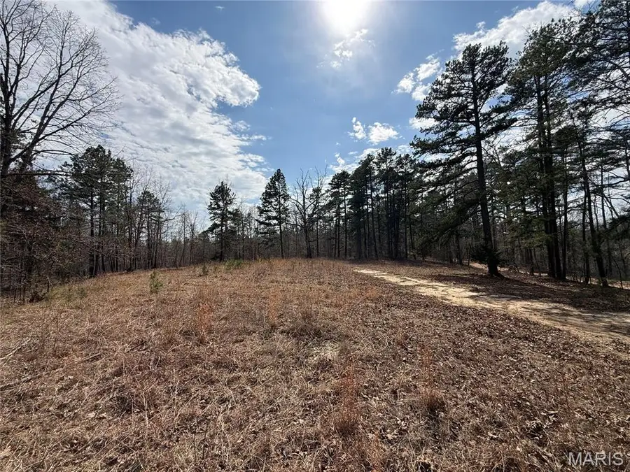 6 Off Bcr 862, Marquand, MO 63655 - #2