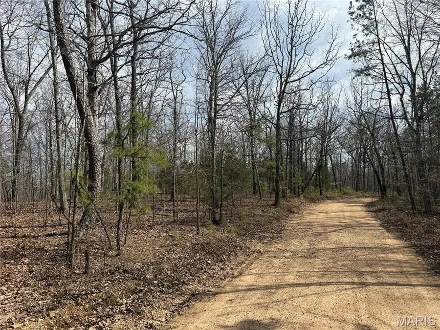 6 Off Bcr 862, Marquand, MO 63655 - #3