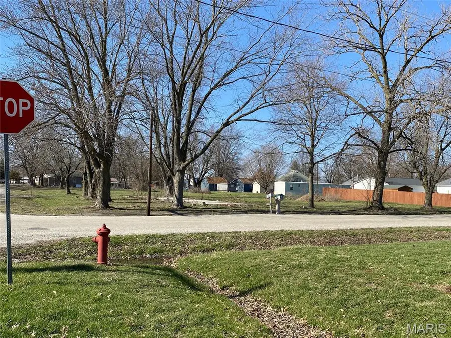 504 N Stuart Street, Witt, IL 62094 - #3