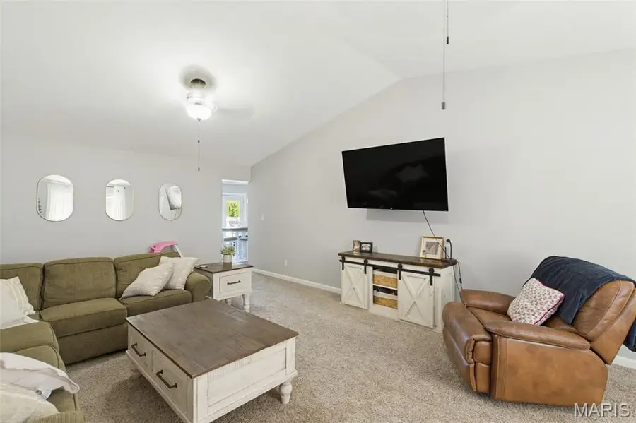 115 Snapping Turtle Lane, Doniphan, MO 63935 - #3