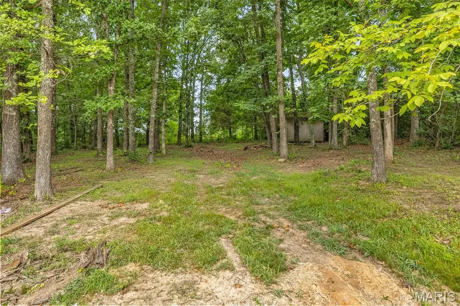 9793 Grove Drive, Bonne Terre, MO 63628 - #2