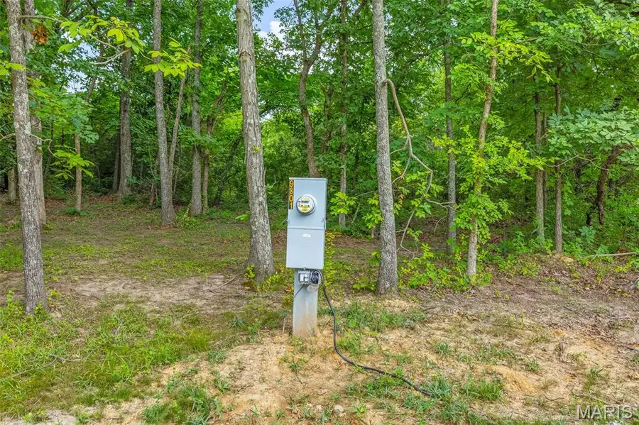 9793 Grove Drive, Bonne Terre, MO 63628 - #3