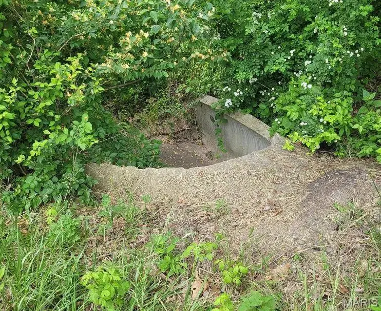 16354 Clayton Road, Wildwood, MO 63011 - #3