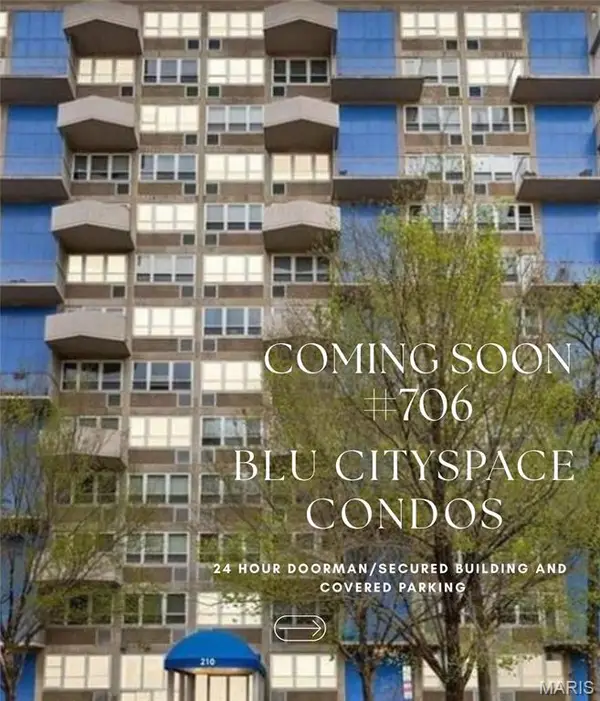 210 N 17th Street #706, St Louis, MO 63103