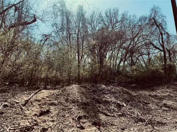 10726 Ridge Avenue, Unincorporated, MO 63114