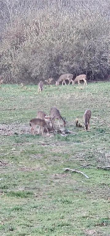 1442 Woburn Avenue, Greenville, IL 62246 - #1