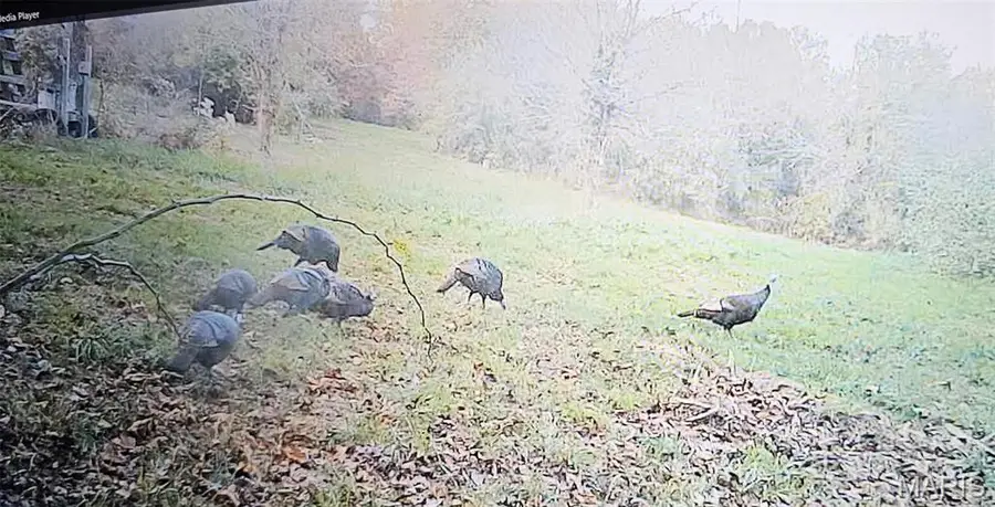 1442 Woburn Avenue, Greenville, IL 62246 - #3