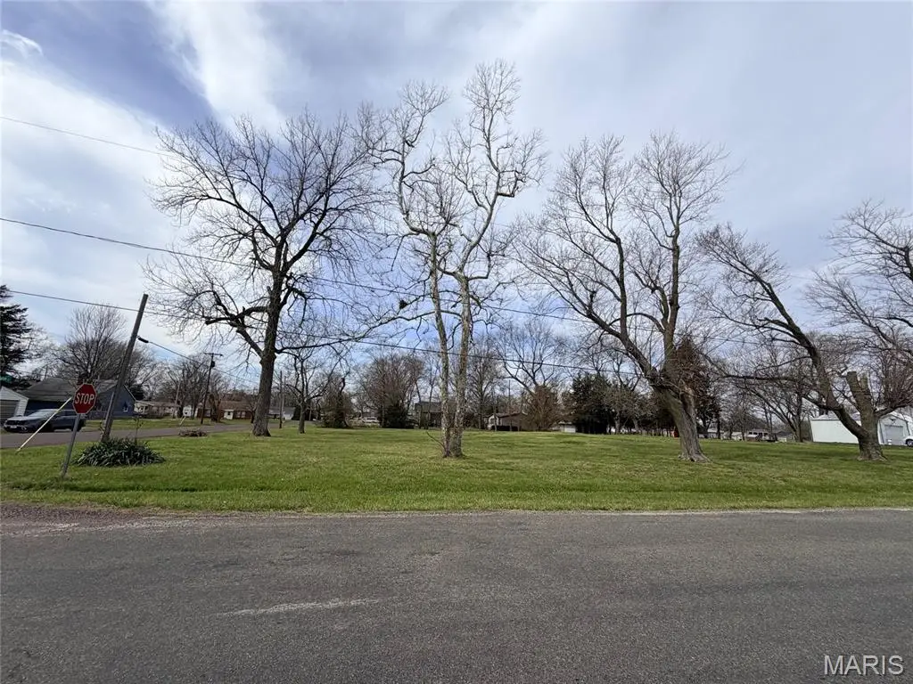 13007 Harrison Trail, Litchfield, IL 62056 - #1