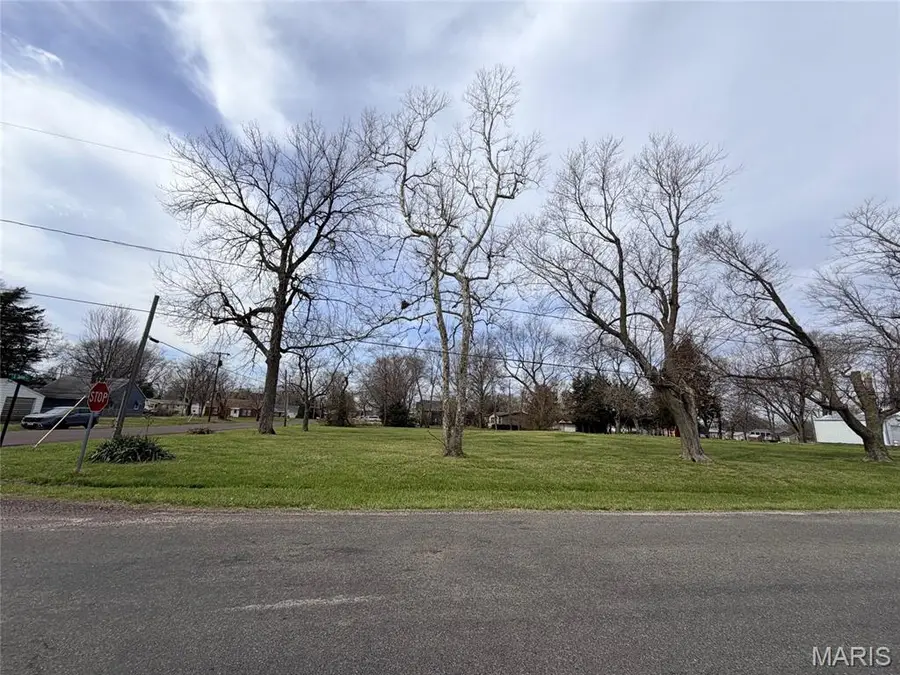 13007 Harrison Trail, Litchfield, IL 62056 - #2