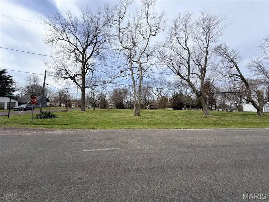 13007 Harrison Trail, Litchfield, IL 62056 - #3