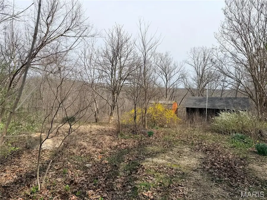 18702 Bcr 402, Marble Hill, MO 63764 - #2