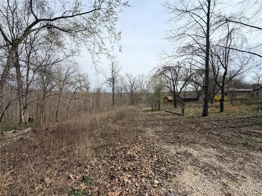 18702 Bcr 402, Marble Hill, MO 63764 - #3