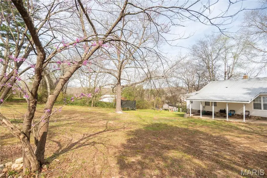 1005 N Lafayette Street, Doniphan, MO 63935 - #2