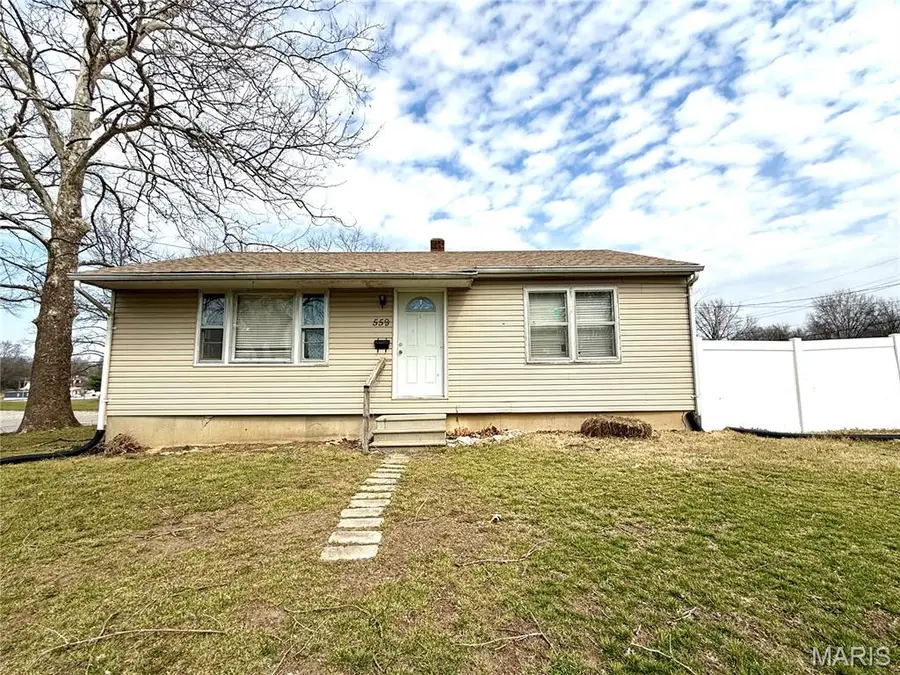 559 W Bell Street, Montgomery City, MO 63361 - #3