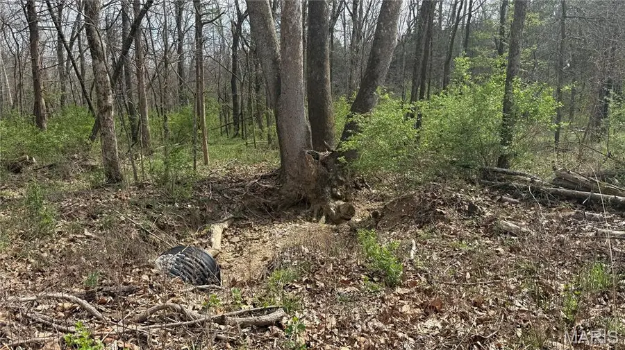 209 Highland Drive, Dittmer, MO 63023 - #3