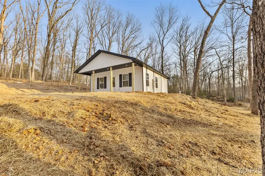 9738 Flo Drive, Bonne Terre, MO 63628 - #3