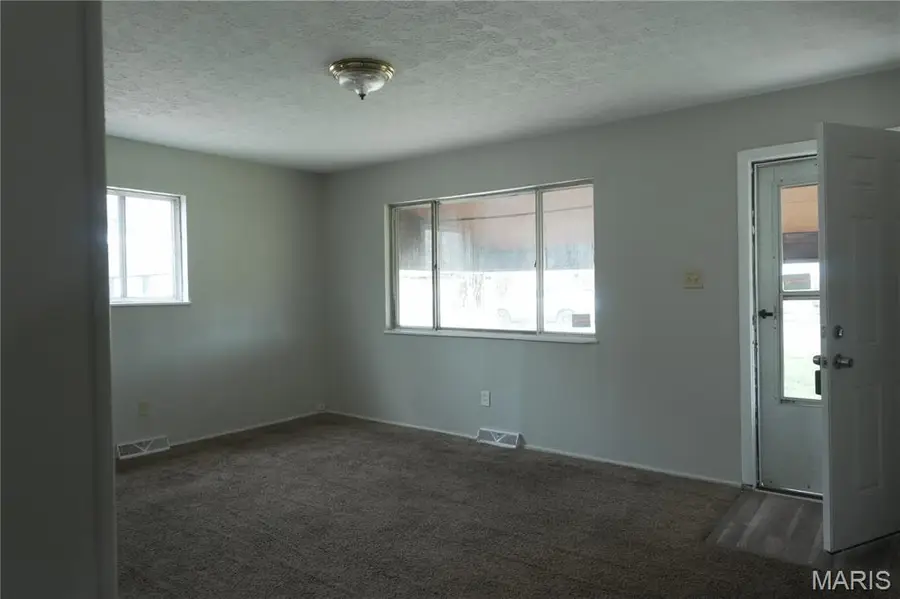 311 Green Street, East Saint Louis, IL 62206 - #3