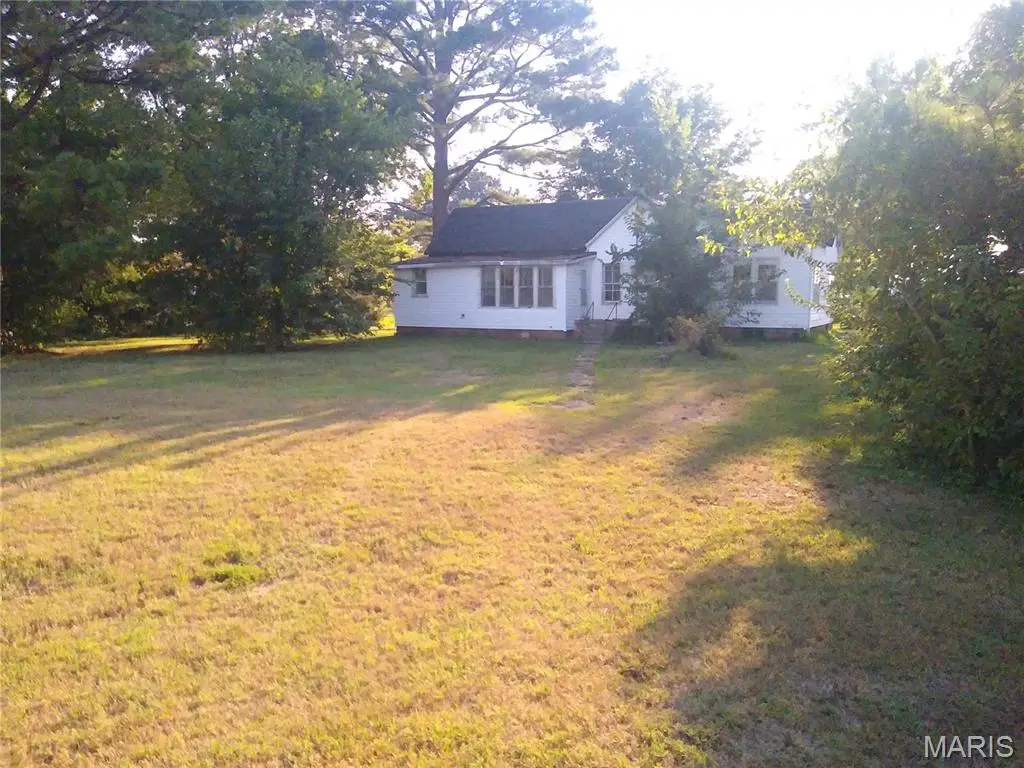 1020 Krause Avenue, Willisville, IL 62997 - #1