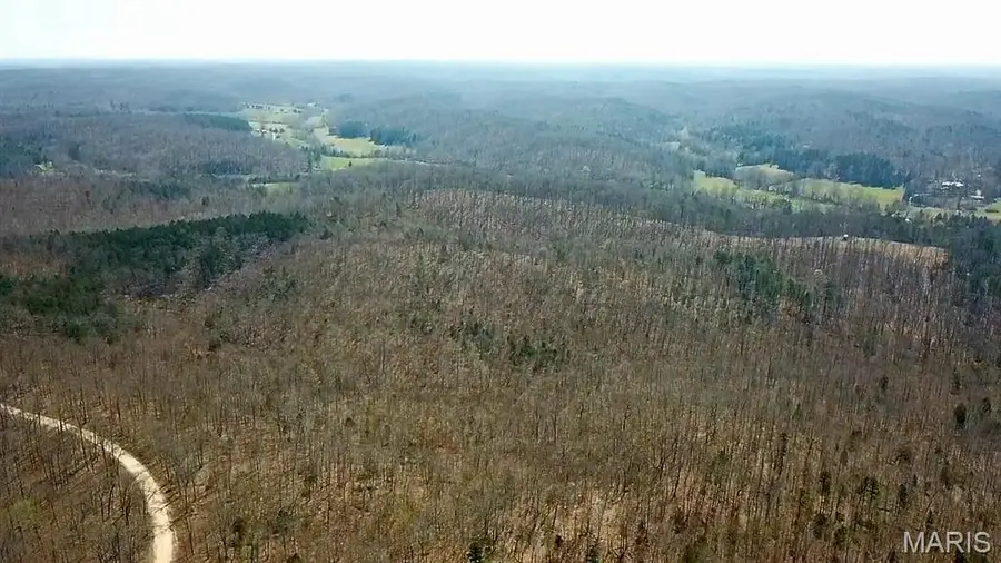 Parcel #1 Lake Road, Silva, MO 63964 - #2