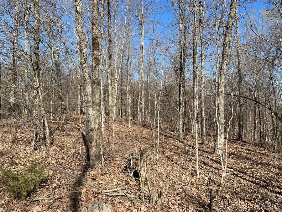 Parcel #1 Lake Road, Silva, MO 63964 - #3