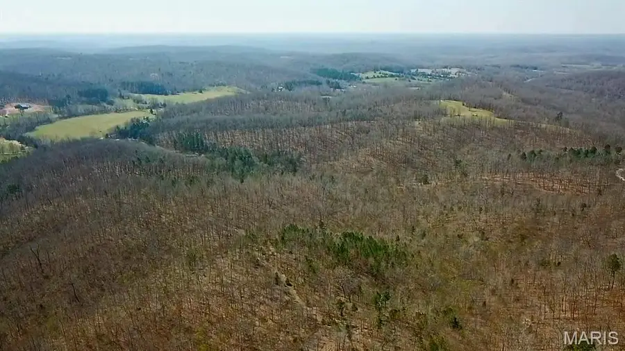 Parcel #2 Lake Road, Silva, MO 63964 - #2