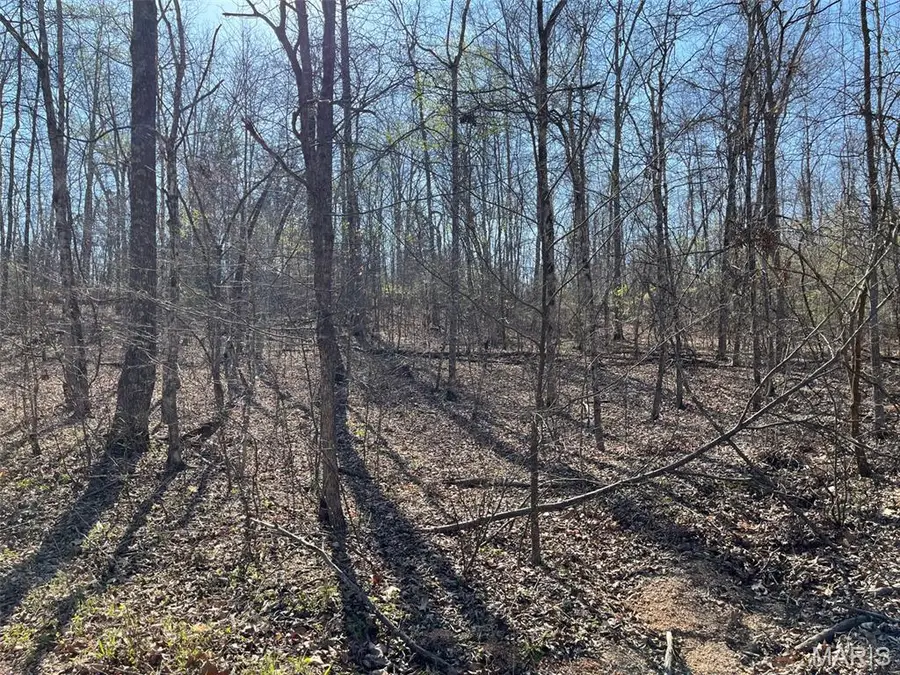 Parcel #2 Lake Road, Silva, MO 63964 - #3