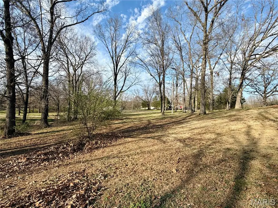 1451 Spring Bluff Road, Sullivan, MO 63080 - #3